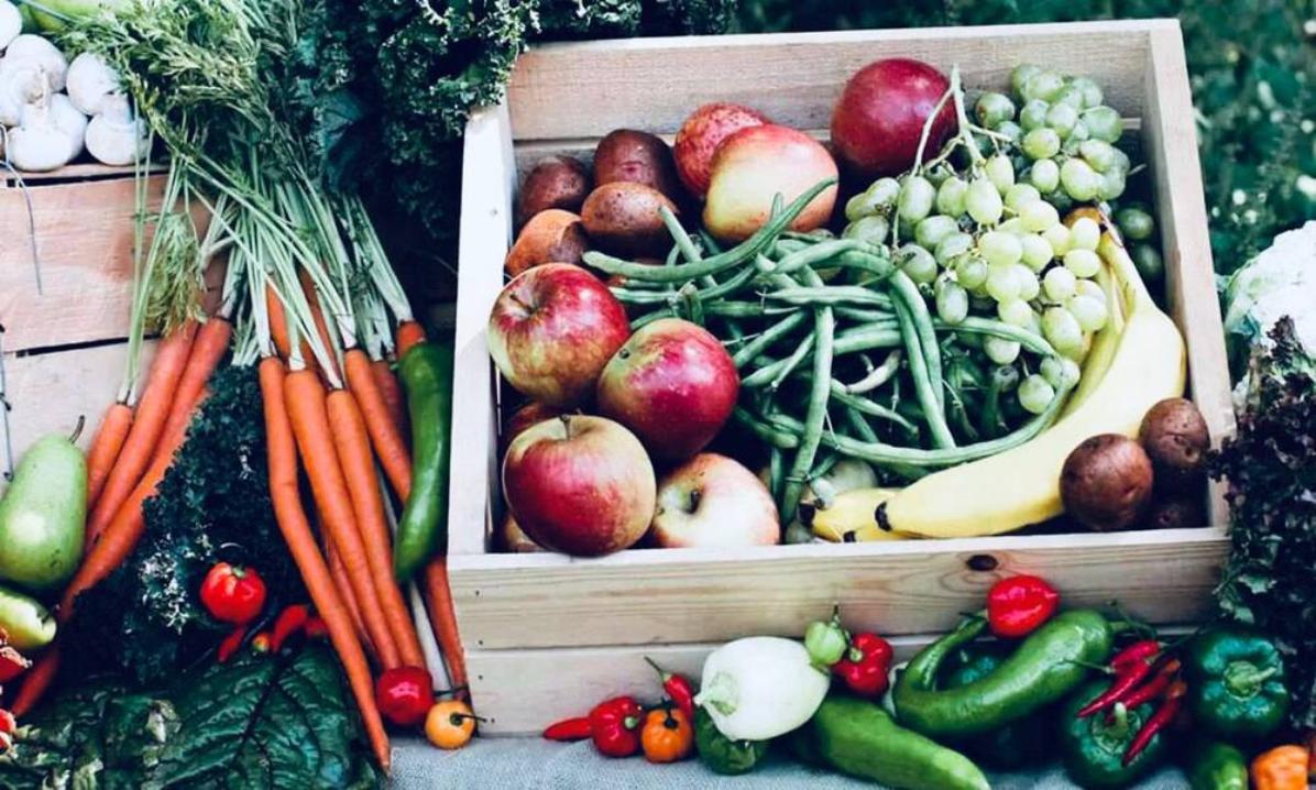 Утверждена Стратегия развития производства органической продукции в российской федерации до 2030 года Утверждена Стратегия развития производства органической продукции в российской федерации до 2030 года