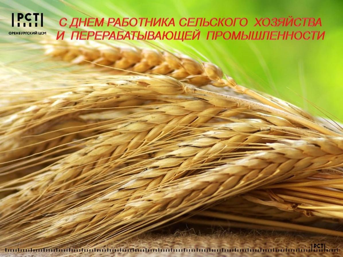 Поздравление с днём работника сельского хозяйства и перерабатывающей промышленности Поздравление с днём работника сельского хозяйства и перерабатывающей промышленности